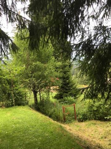 Фото номера Шале Шале Charming Chalet Timisul de Sus г. Тимису-де-Сус 48