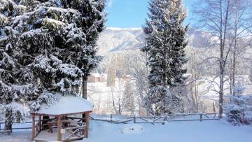 Фотографии Шале Charming Chalet Timisul de Sus г. Тимису-де-Сус (Румыния) №5 Фото Шале Charming Chalet Timisul de Sus г. Тимису-де-Сус 5