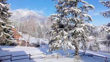 Фото номера Шале Шале Charming Chalet Timisul de Sus г. Тимису-де-Сус 52