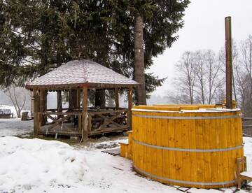 Фото номера Шале Шале Charming Chalet Timisul de Sus г. Тимису-де-Сус 63